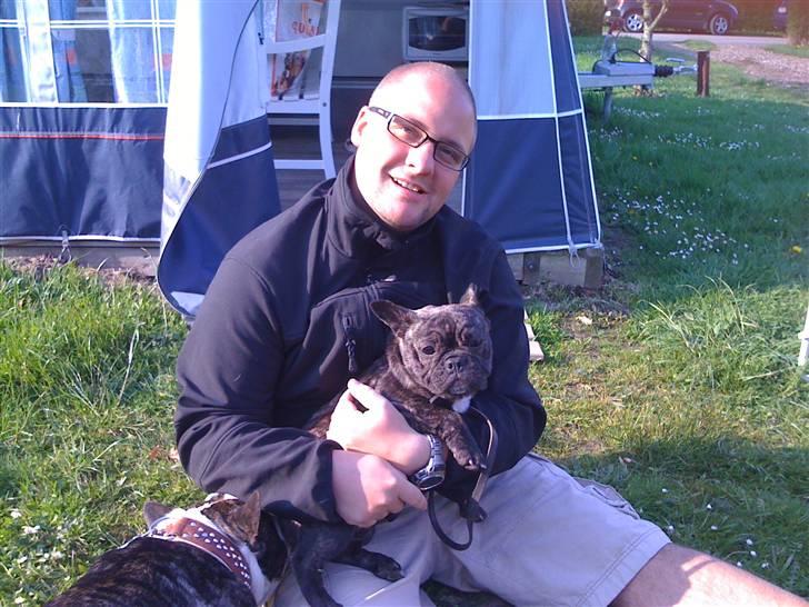 Fransk bulldog Hakonis Sweet Bella - Mit første besøg hos min nye familie billede 9