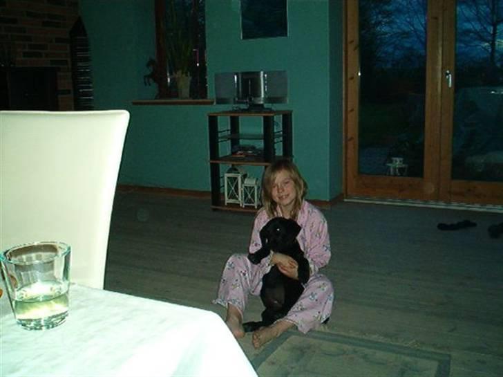 Blanding af racer Sif :) billede 2