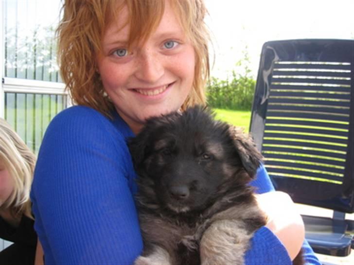 Blanding af racer Lotus - Den første gang vi så vores lille tøs billede 1