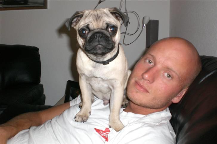 Mops Milo - Min far og jeg :-) billede 12