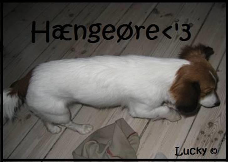 Blanding af racer Badman's *Lucky* Day. billede 8