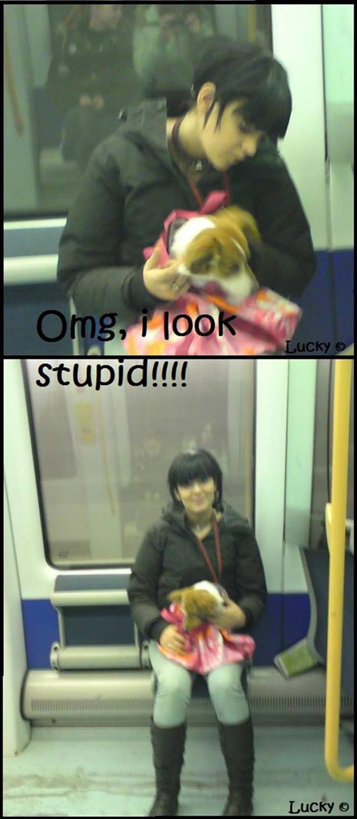 Blanding af racer Badman's *Lucky* Day. billede 14