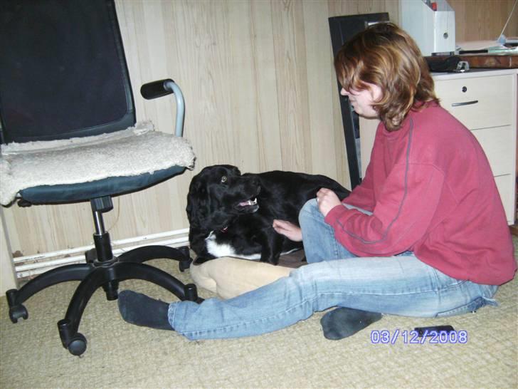 Blanding af racer Basse billede 10