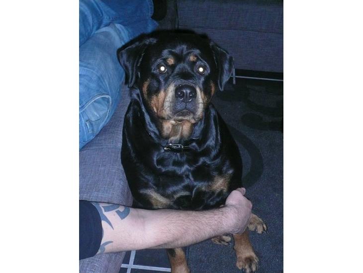 {{currentPhoto.altText}} billede {{currentPhoto.number}}