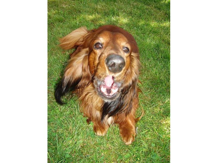 {{currentPhoto.altText}} billede {{currentPhoto.number}}