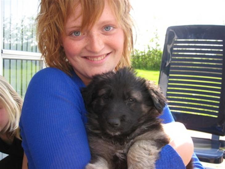 {{currentPhoto.altText}} billede {{currentPhoto.number}}