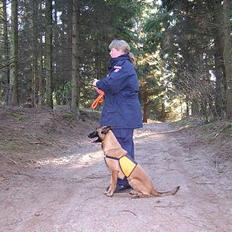 Malinois Tikki (Daneskjold Pippi) * DØD *