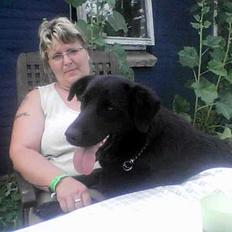 Blanding af racer Guffi  (Død)