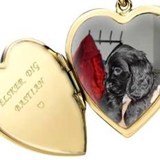 Cocker spaniel Bastian R.I.P :o( (død)