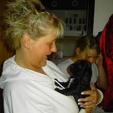 Cocker spaniel Bastian R.I.P :o( (død)