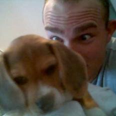Beagle Frida