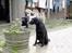 Flat coated retriever marko - Marko ser på Zita og tænker sikkert. Er hun ikke smuk