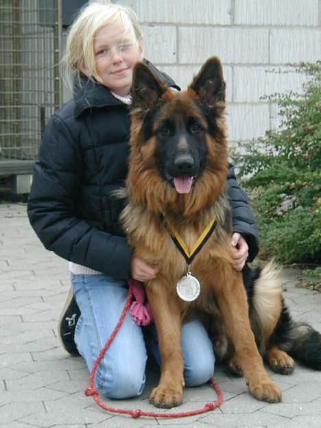 Schæferhund Slottet's Skywalker - Louise og jeg , vi vandt en medalje sammen .... billede 4