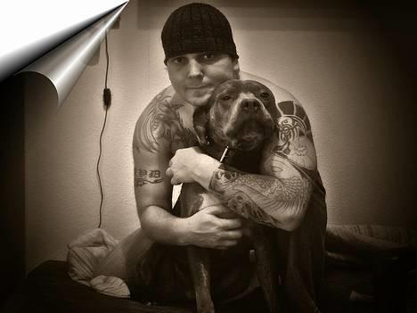 Amerikansk staffordshire terrier Tristan - My daddy, my defender... NYT billede 7