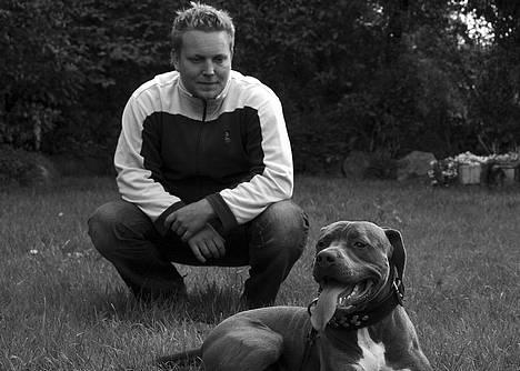 Amerikansk staffordshire terrier Tristan - Helt nyt billede 9