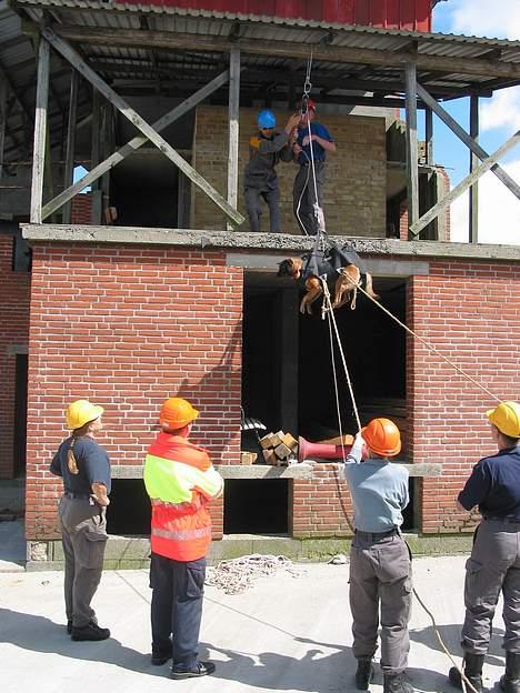 Malinois Tikki (Daneskjold Pippi) * DØD * - Tikki ved at blive hejst op på etage på instruktørkursus 2003. billede 11