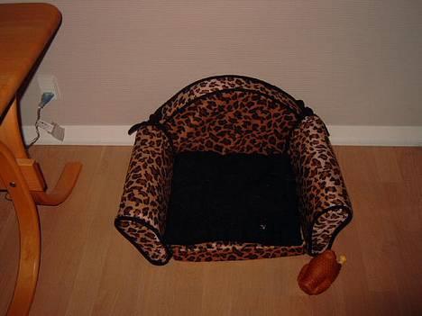 Yorkshire terrier Futte         "RIP" - He he , moar sørger for vi hunde har gode senge at sove i .. billede 15