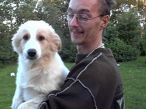 Blanding af racer Sazu DØD R.I.P. 12/10-05 billede 3