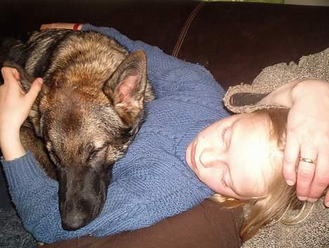 Schæferhund Bøgilds Bondie *død* - mig og Bondie sover billede 12