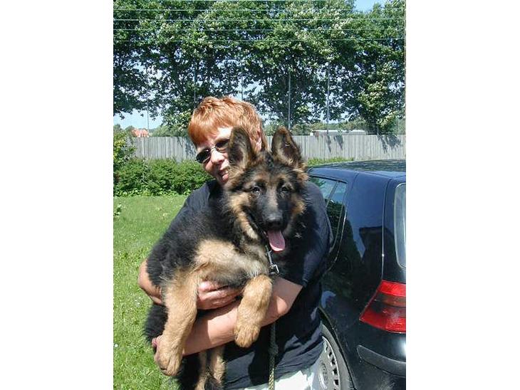 {{currentPhoto.altText}} billede {{currentPhoto.number}}