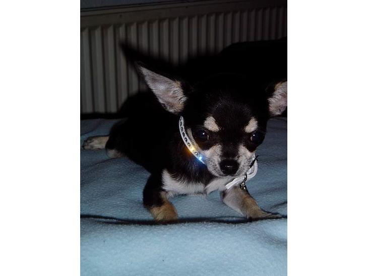 {{currentPhoto.altText}} billede {{currentPhoto.number}}