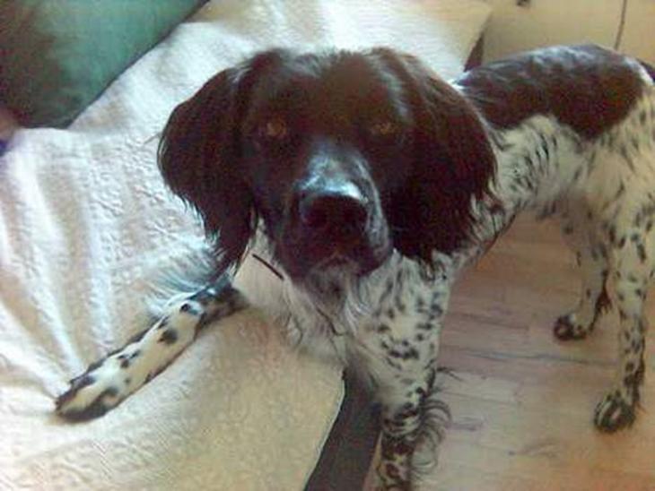 {{currentPhoto.altText}} billede {{currentPhoto.number}}