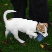 Blanding af racer Sun