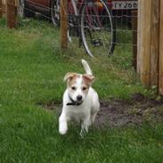 Blanding af racer Sun