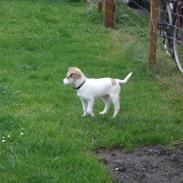 Blanding af racer Sun