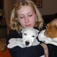 Blanding af racer coco