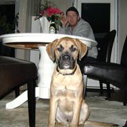 Blanding af racer nemo