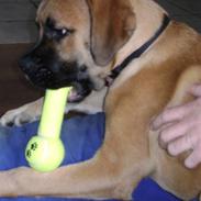 Blanding af racer nemo