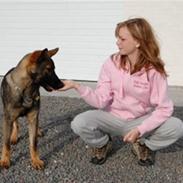 Schæferhund Kochens Jilla