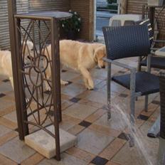 Golden retriever Soey