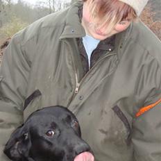 Labrador retriever Taslas little Tju-Tju