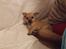 Chihuahua Armani