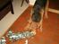 Airedale terrier Zeus - R.I.P 2002-2009