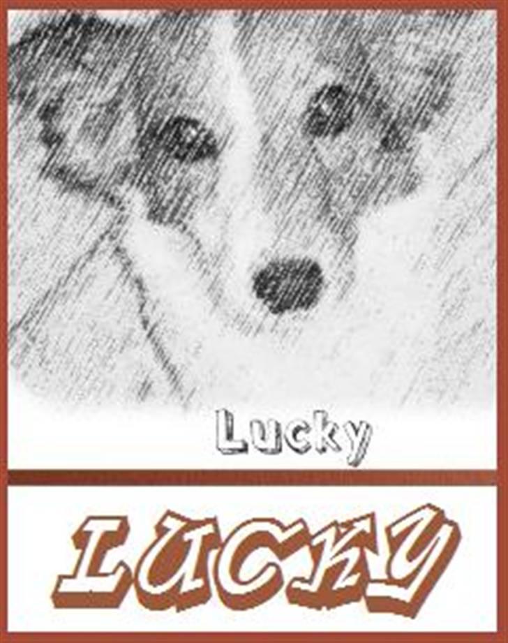 Blanding af racer Badman's *Lucky* Day. billede 16