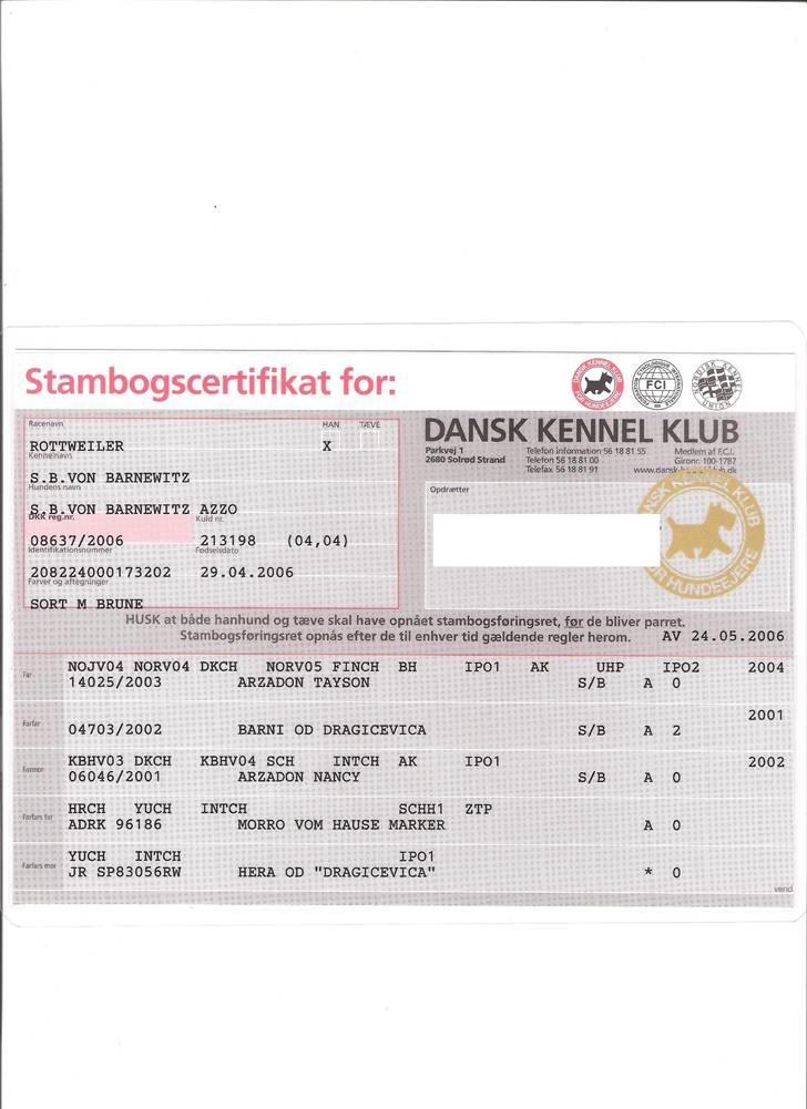 Rottweiler S.B. Von Barnewitz AZZO billede 20