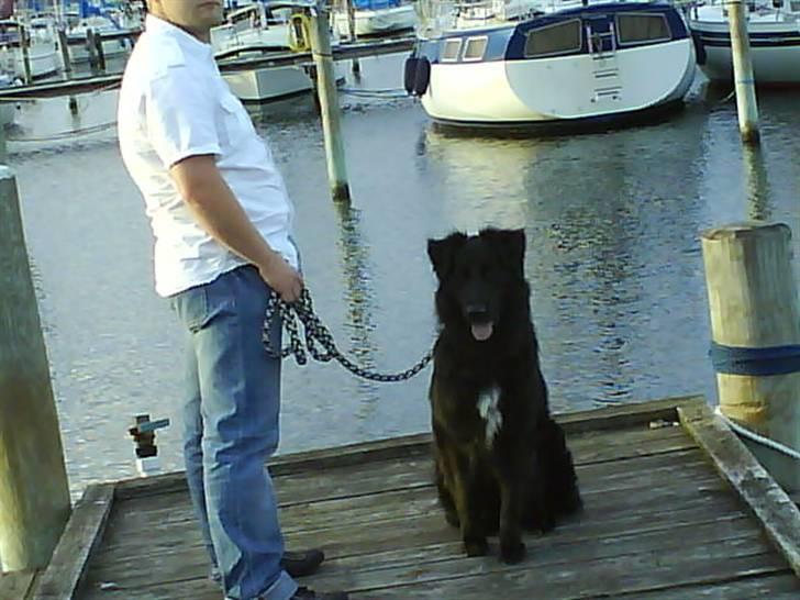 Blanding af racer Bjørn - Mig og far er lige en tur ved havnen. billede 12