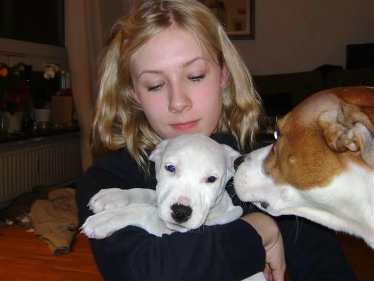 Blanding af racer coco billede 5