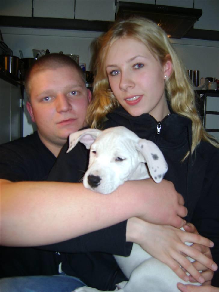 Blanding af racer coco billede 7