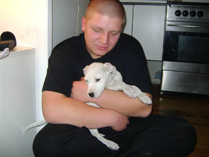 Blanding af racer coco billede 10