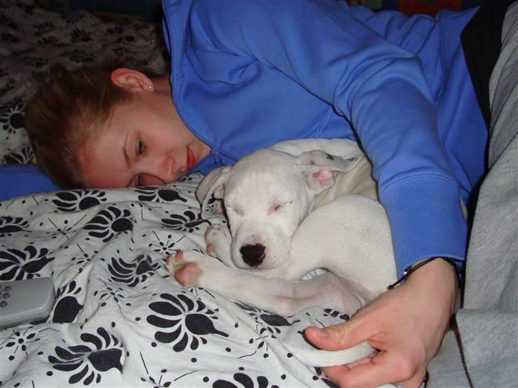 Blanding af racer coco billede 11