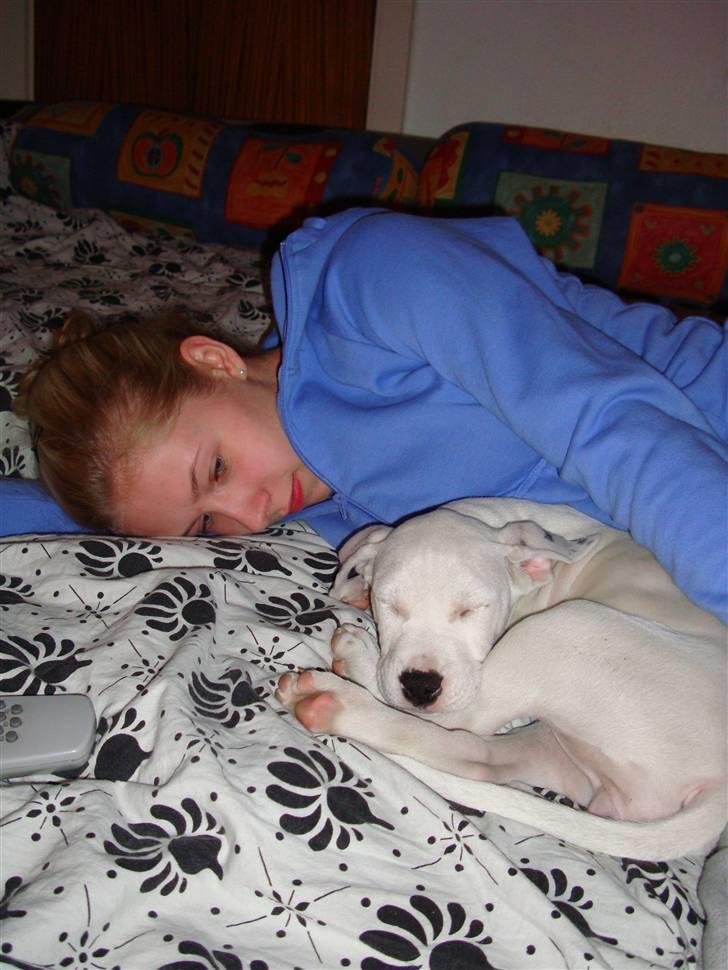 Blanding af racer coco billede 12