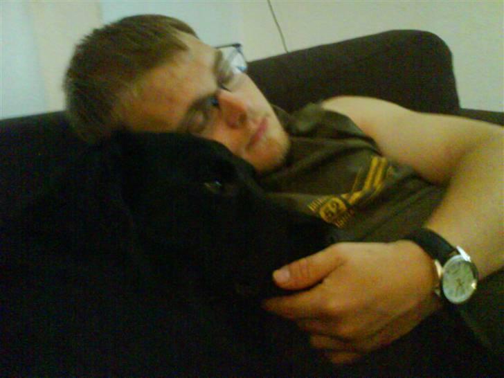 Blanding af racer Bjørn - Har fået lov at putte med far i sofaen :0) billede 18