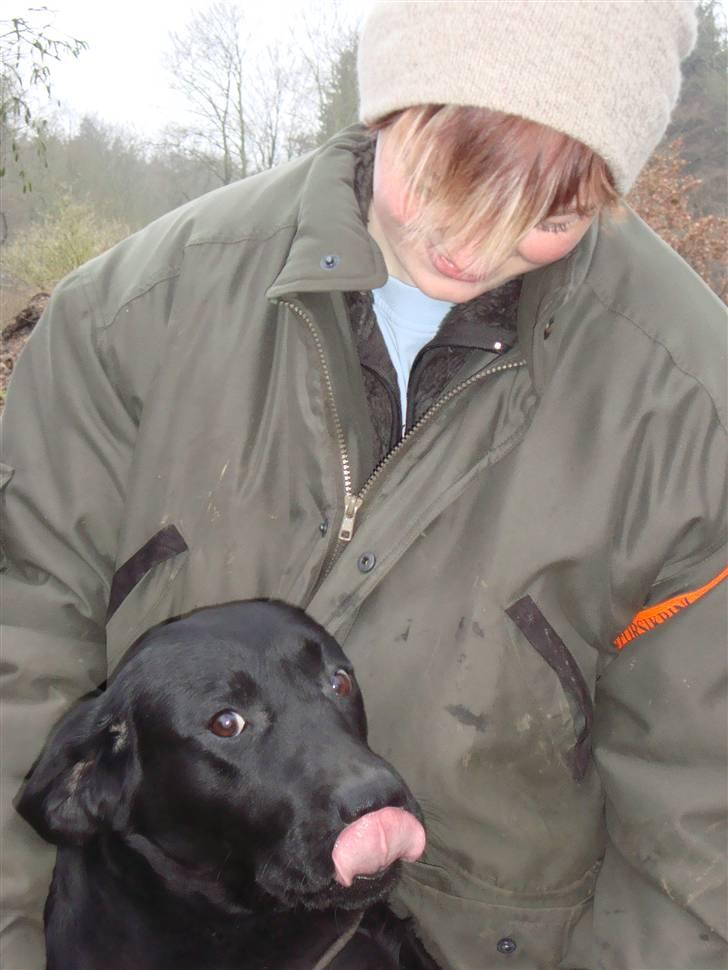 Labrador retriever Taslas little Tju-Tju - Taget d. 21/12 - 08 - Tju-Tju og jeg hygger :) billede 3