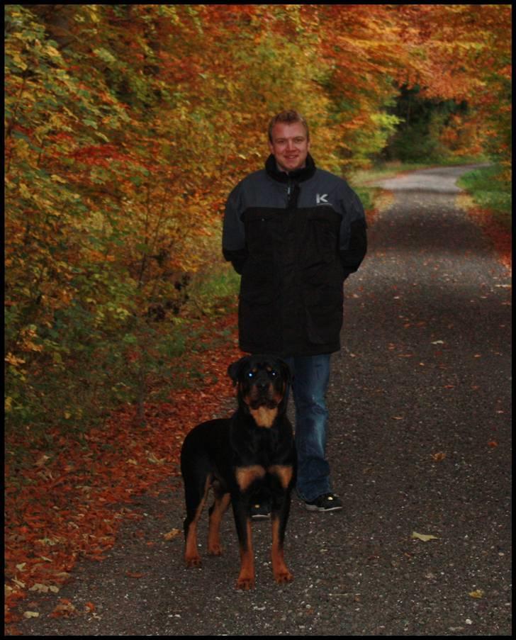 Rottweiler Balder - En tur i skoven. Foto: Maria Willems. billede 7