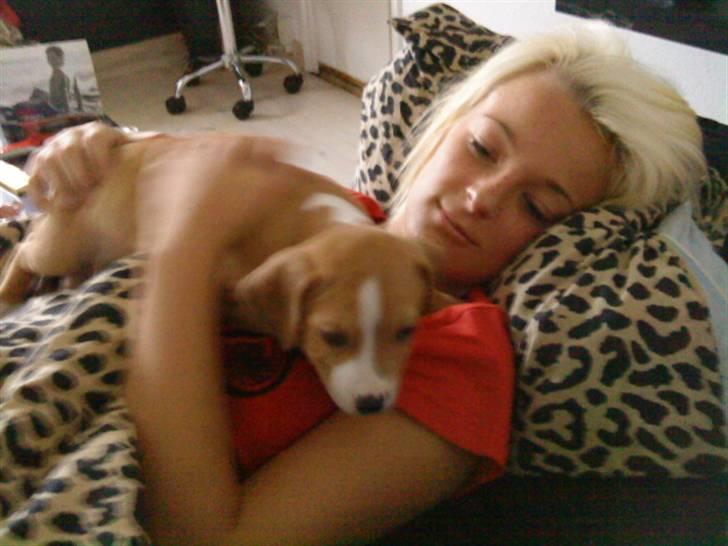 Blanding af racer PACO - Gooodmorgen billede 6