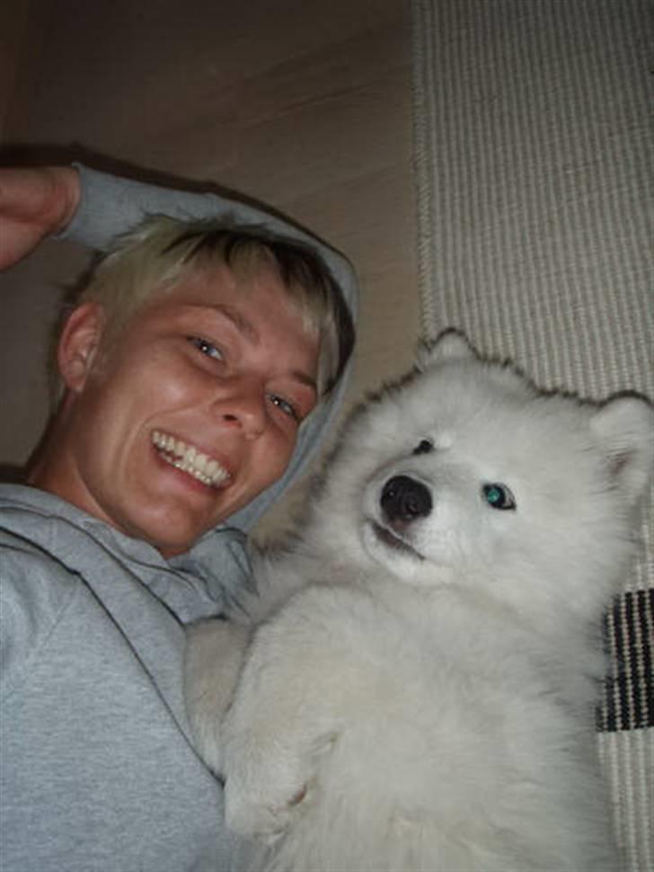 Samojedhund Kiak´s Oscar of Bow (Coco - Mig og Coco hygger billede 7